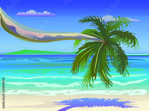 tropical beach with palm trees in the paradise