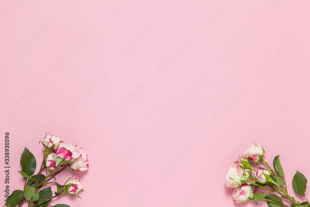 Sprigs of small roses white and red on pink background, copy space. Minimal style flat lay. For greeting card, invitation. March 8, February 14, birthday, Valentine's, Mother's, Women's day concept