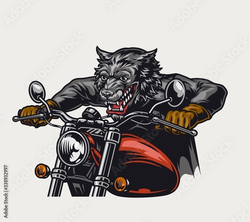 Angry wolf motorcyclist riding motorbike