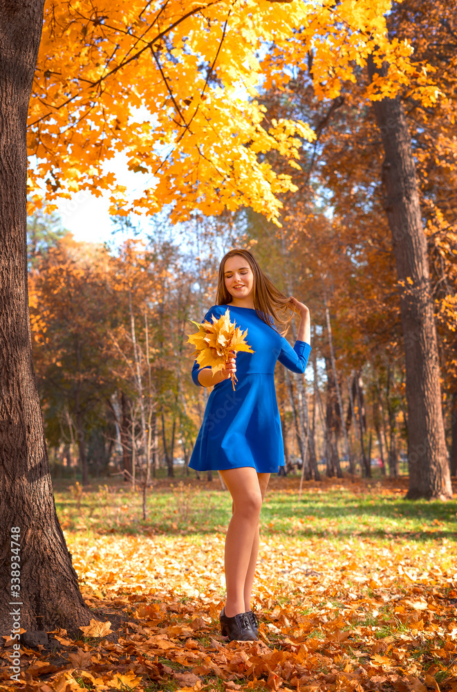 Beautiful young girl with long hair in a blue dress with a bouquet of yellow leaves in her hands in the autumn park. Beautiful young girl with long hair in a blue dress with a bouquet of yellow leaves in her hands in the autumn park.