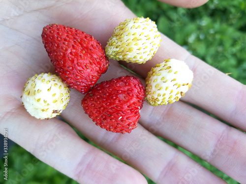 tasty ripe red strawberries on  blurry background photo