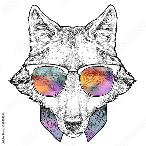 Hand drawn portrait of Wolf in glasses. Vector illustration isolated on white