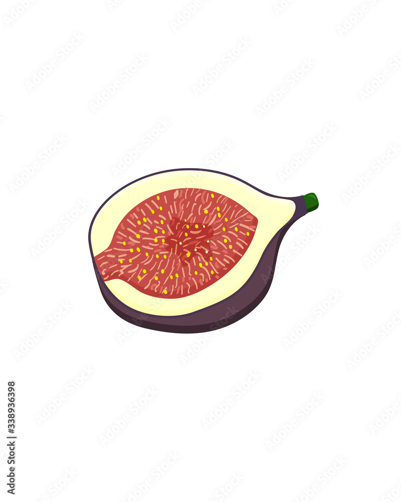Purple half fig fruit, isolated on white background. Vector flat illustration. Purple half fig fruit, isolated on white background. Vector flat illustration.