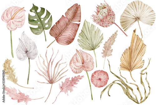 Watercolor tropical clipart with palm leaves, protea and anthurium flowers, dried grass. Exotic set