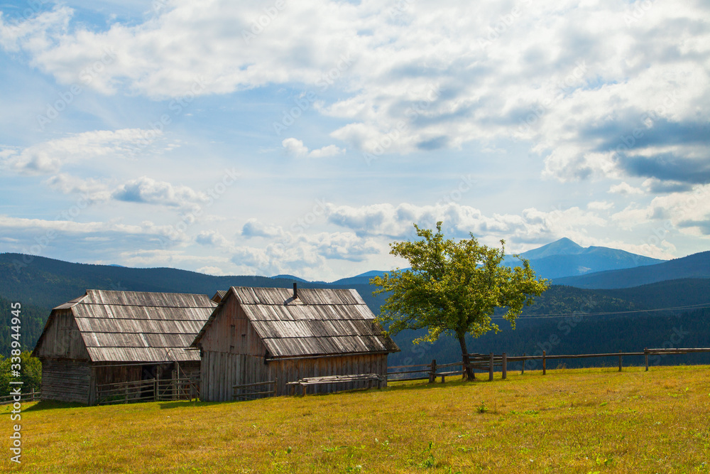 A tree near two houses in the background of a mountain landscape. Ukrainian Carpathians A tree near two houses in the background of a mountain landscape. Ukrainian Carpathians