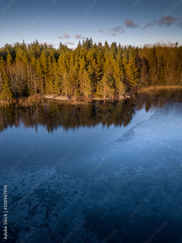 Ice forming in the cold waters of a remote lake surrounded by denseforest