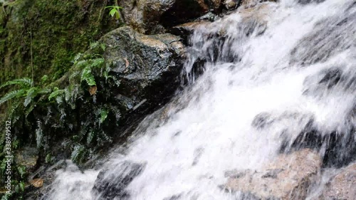 Running waterfalls in the forest of Southeast asia. photo