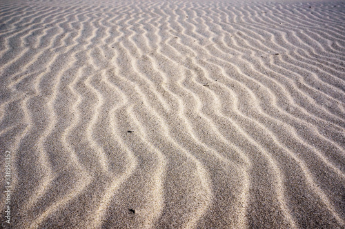 Wavy lines pattern on sand of dunes on beach.