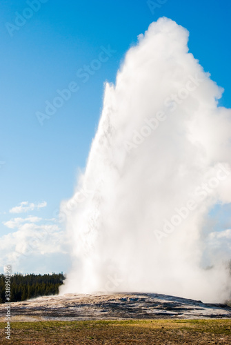 The famous Old Faithful Geyser erupting in Yellowstone National Park