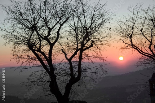 sunset through tree branches on Perugia landscape  Italy