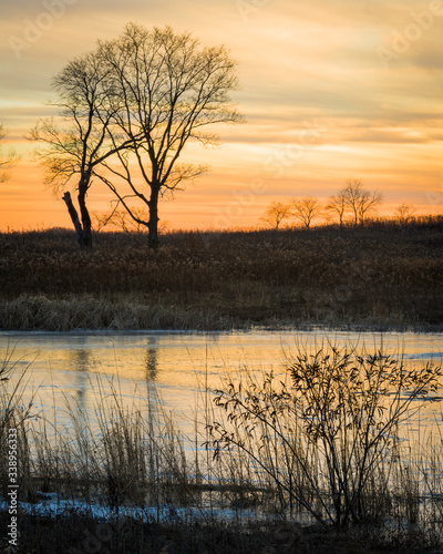 The colors of a twilight sky reflected in the frozen surface of a marsh habitat.