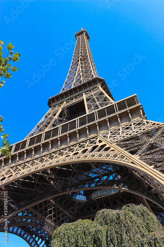 Eiffel Tower with trees