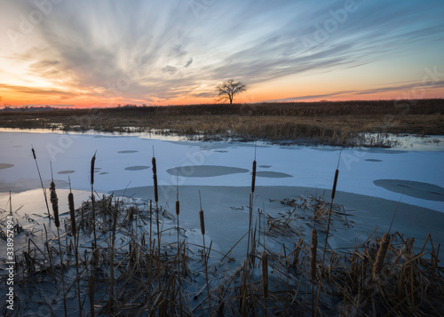 Sunset colors in a twilight sky over a frozen marsh habitat.