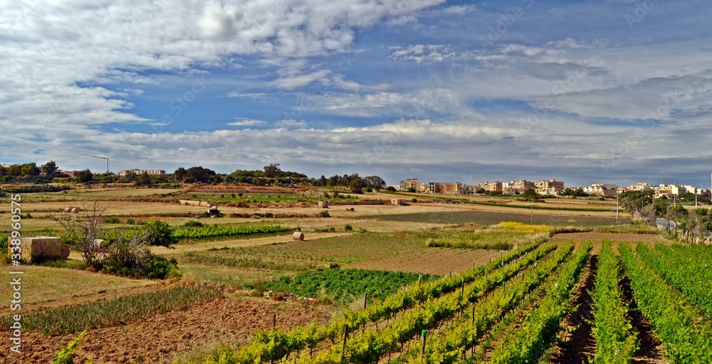 Rural side of Gozo