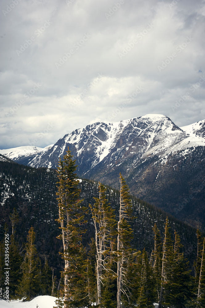 Fototapeta premium snow covered mountains