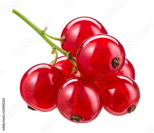 Red currant isolated. Currant red on white background. Currant red isolated. Currants on white. Currant on branch.