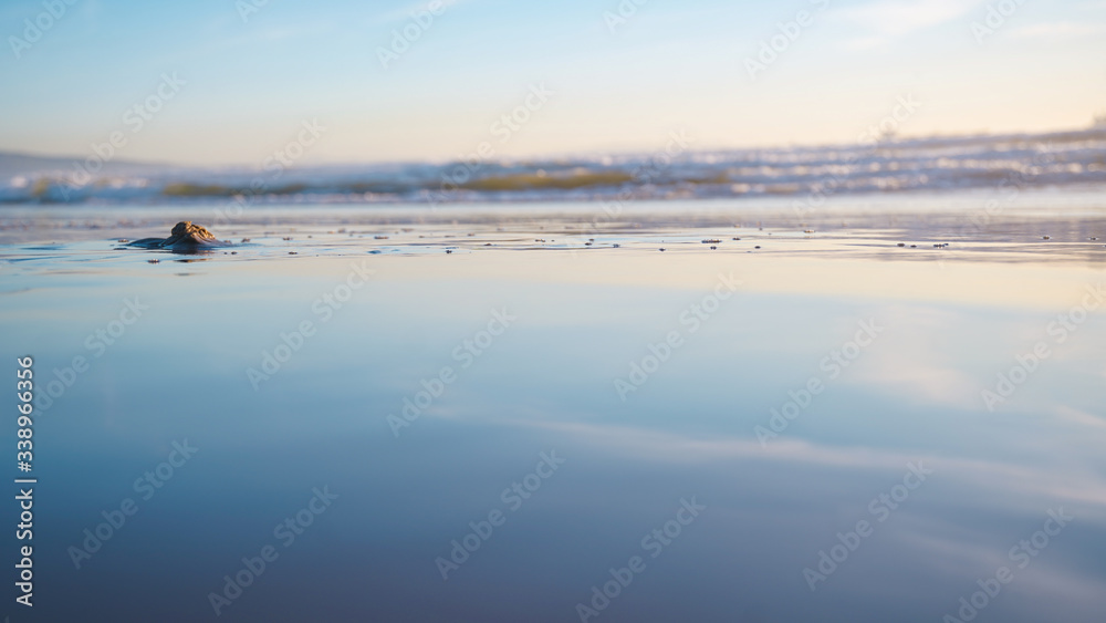 Reflection in Sand Reflection in Sand