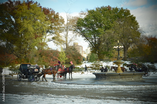 New York city photo