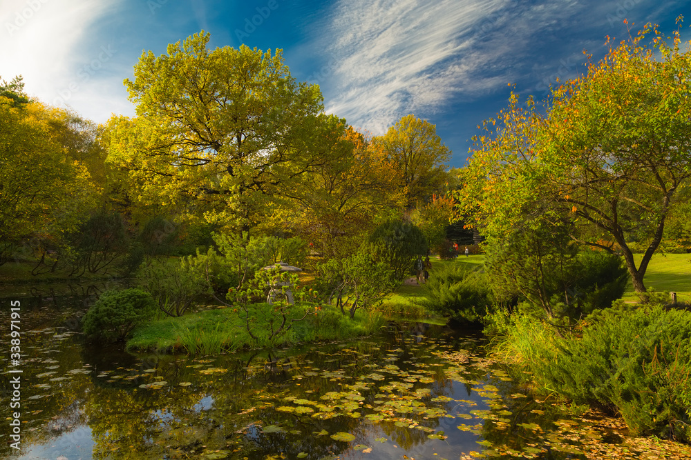 A small pond surrounded by trees with colorful foliage A small pond surrounded by trees with colorful foliage
