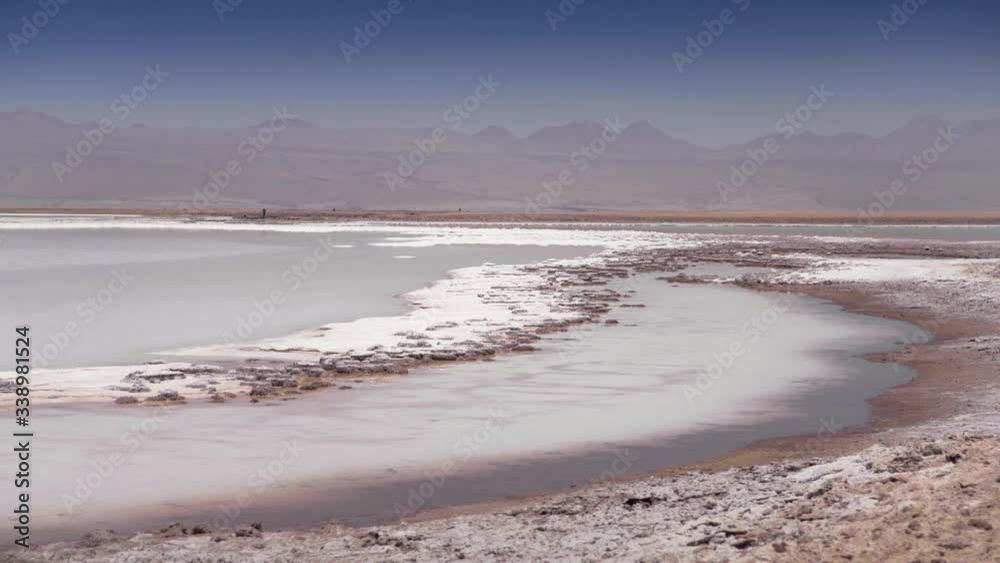 Flamingos. San Pedro de Atacama, Antofagasta - Chile. Desert. Baltinache Lagon.. Flamingos. San Pedro de Atacama, Antofagasta - Chile. Desert. Baltinache Lagon..
