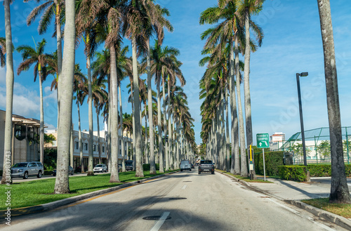 Royal Palm Way in Palm Beach Island, Florida. Street view on a beautiful spring sunny day © jovannig
