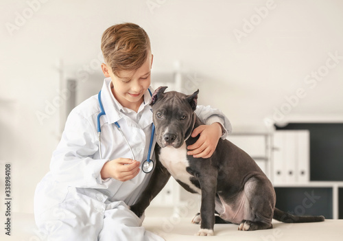 Little veterinarian examining cute dog in clinic © Pixel-Shot