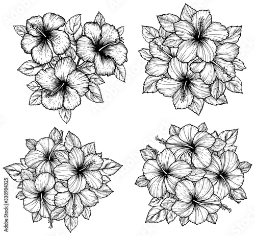 Hand drawn tropical hibiscus flower bouquet with leaves. Sketch florals on white background. Exotic blooms, engraving style for textile, surface design or banner. Great template for coloring book.