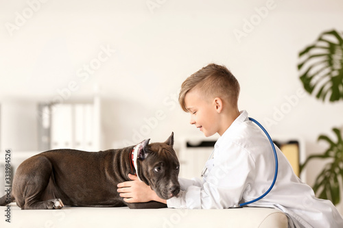Little veterinarian examini...