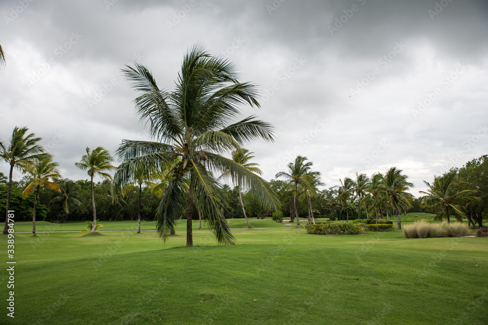 View of a golf course during a cloudy day (Punta Cana, Dominican Republic). View of a golf course during a cloudy day (Punta Cana, Dominican Republic).