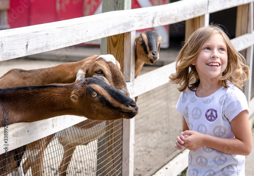 Φωτογραφία Friendly goats are really interested in this laughing little girl  at a petting