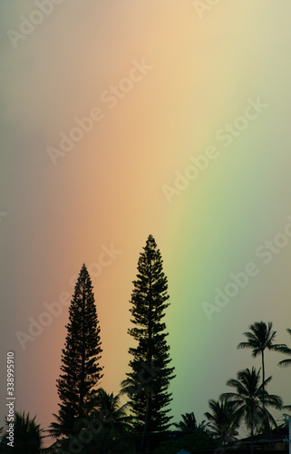 Rainbow, Maui, Hawaii