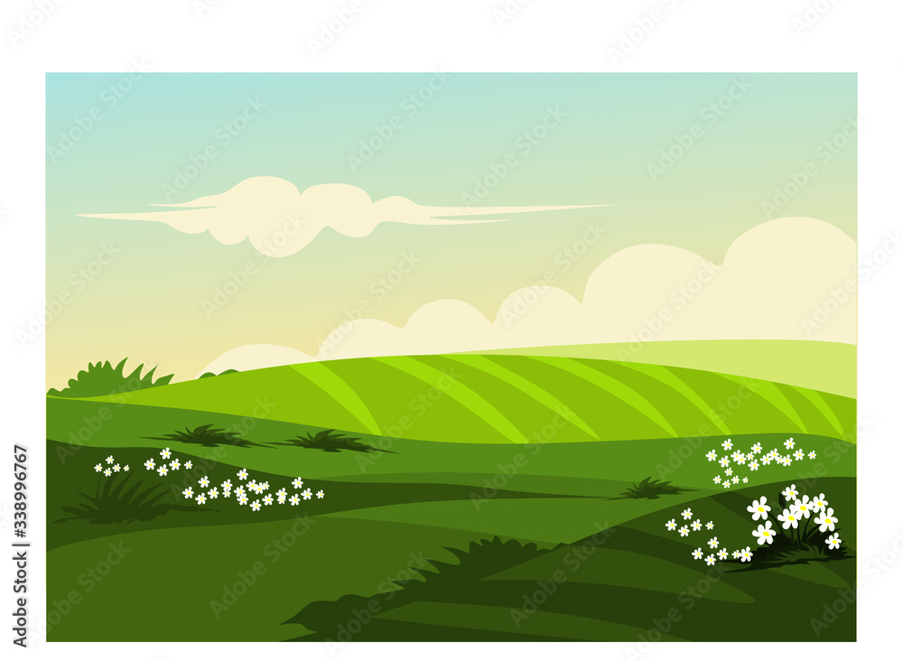 summer landscape with green grass
