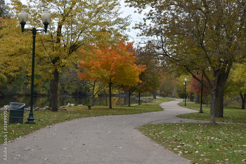 Fototapeta premium autumn in the park