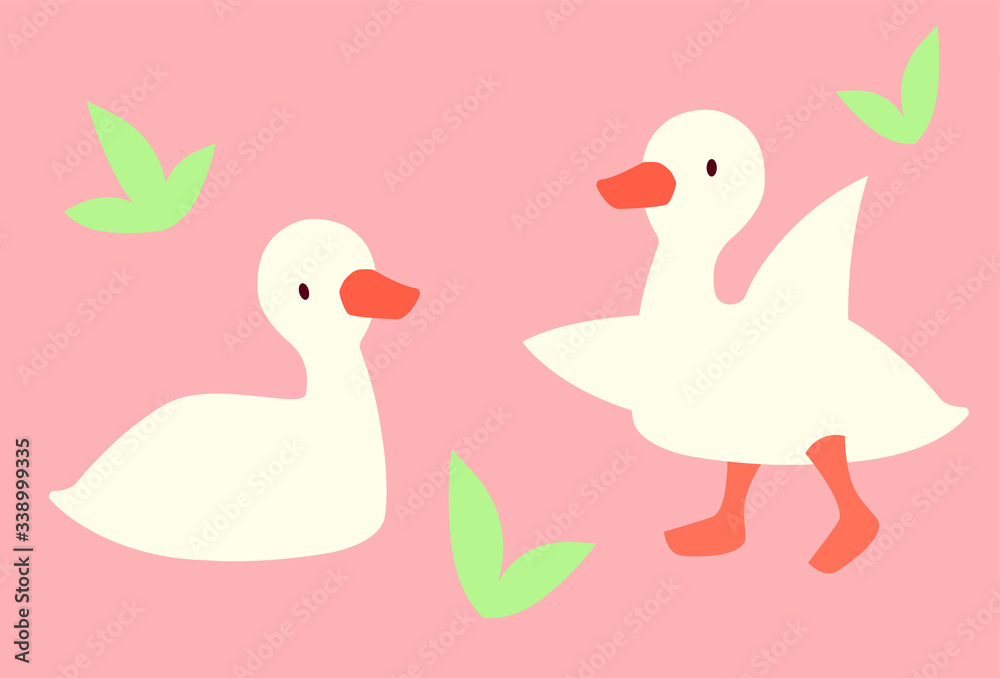 Little goose Little goose