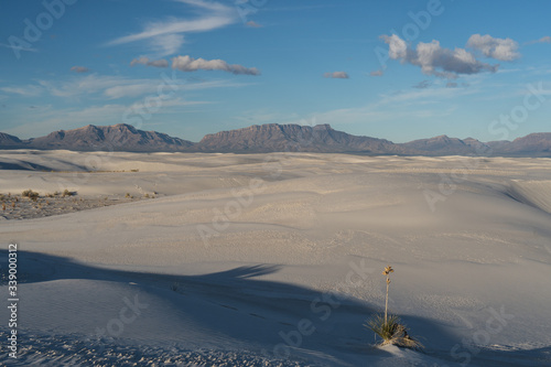 Fototapeta Naklejka Na Ścianę i Meble -  White sands in the morning