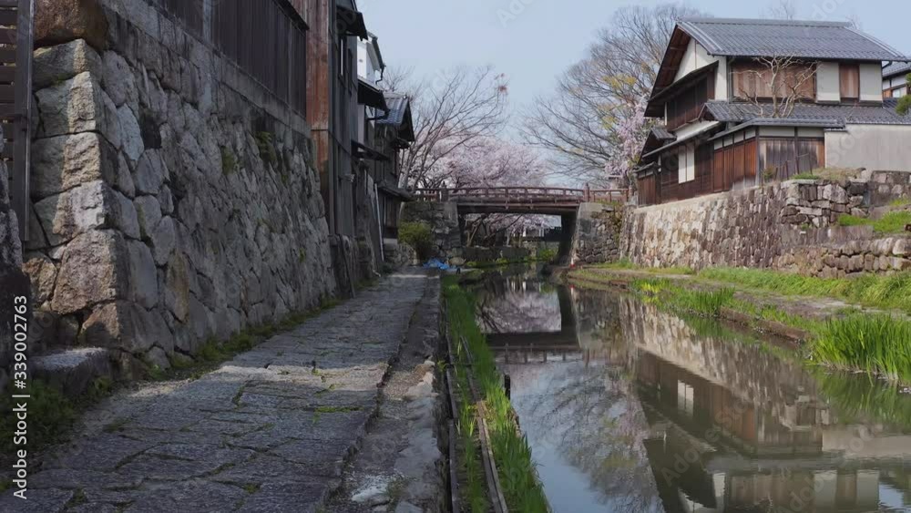Walking along Japanese canal towards stone bridge on Spring Morning, Omihachiman