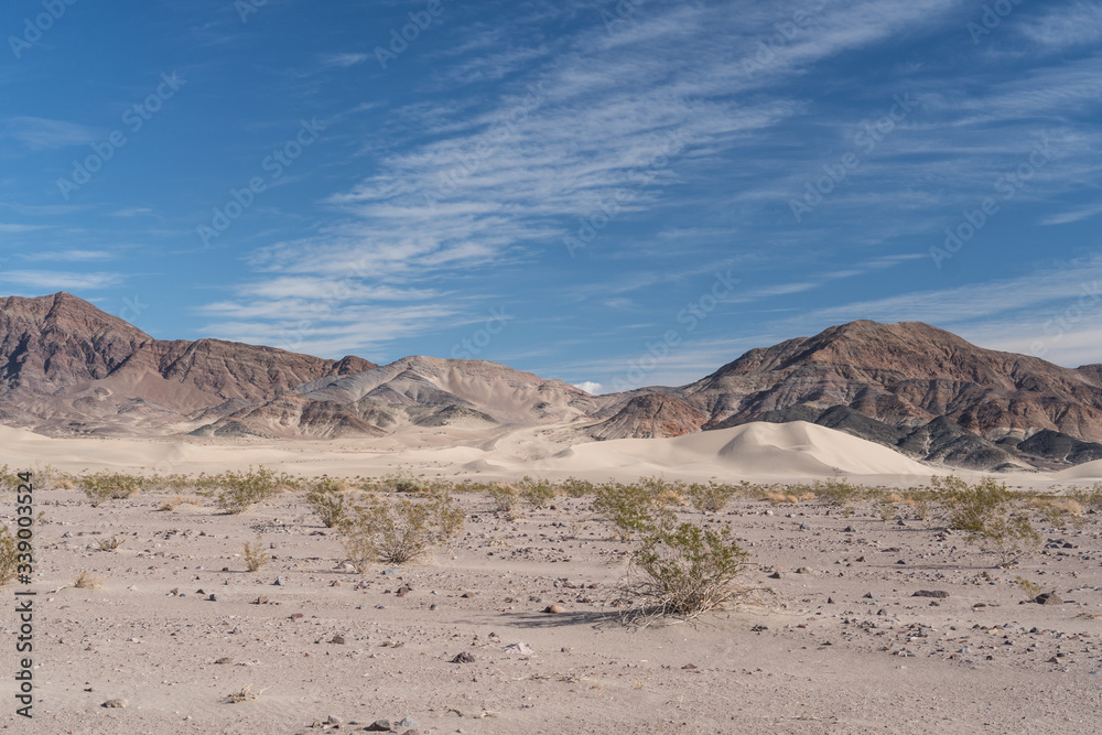 Ibex Dunes