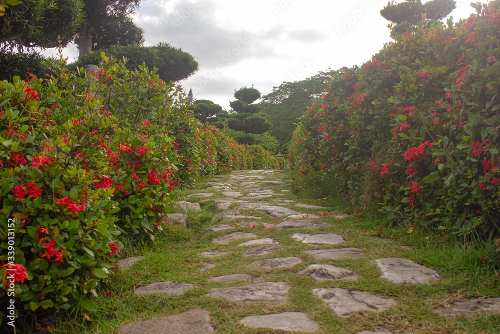 Obraz premium path in the garden
