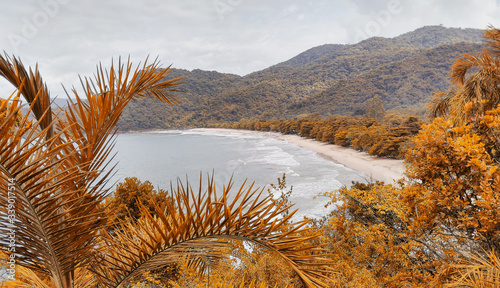 Beach in autumn