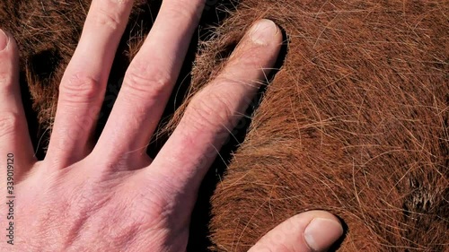 Changing hair in animals means a huge physical exertion. The entire immune system is weakened and thus increases susceptibility to disease