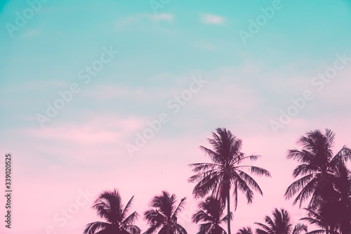 Tropical palm coconut trees on sunset sky flare and bokeh nature. © ant