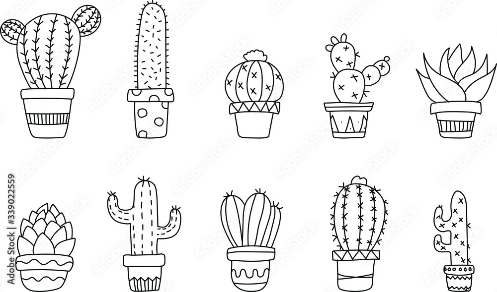 Cactus Doodle Cactus Doodle