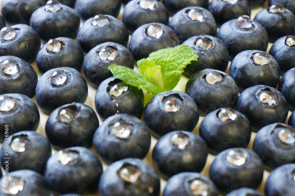 blueberries blueberries