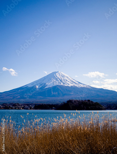 mountain Fuji with cloud and grass flower.
