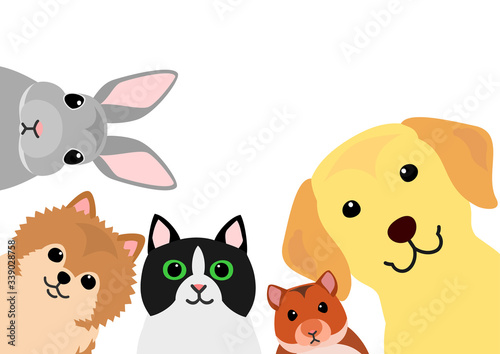 cute home pets animals group