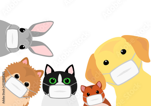 cute home pets animals group with medical masks