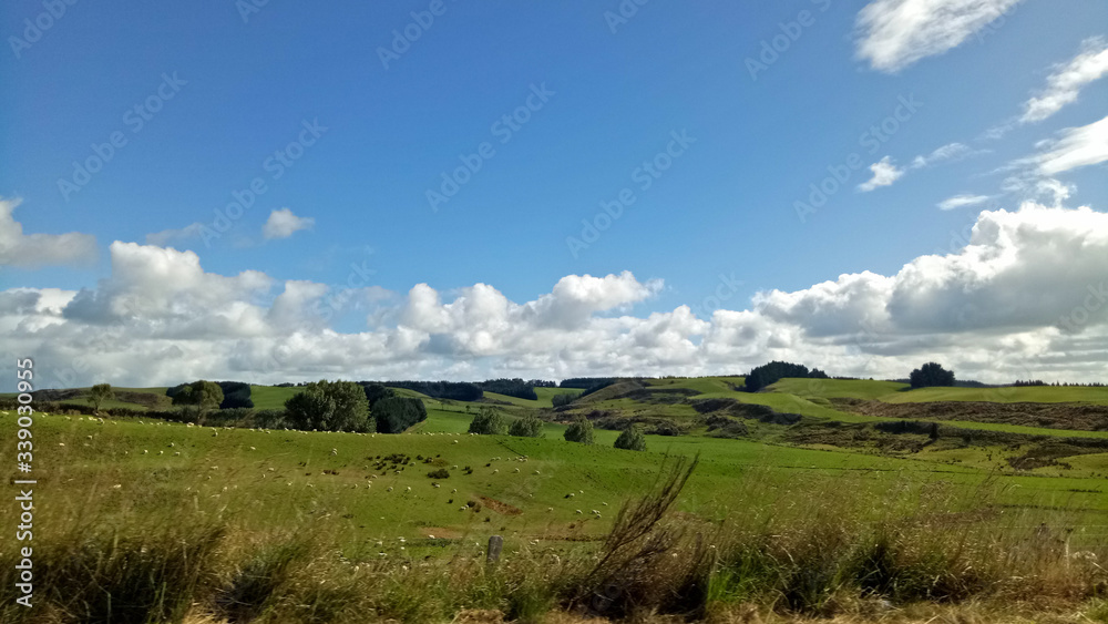 Beautiful landscape of south island New Zealand