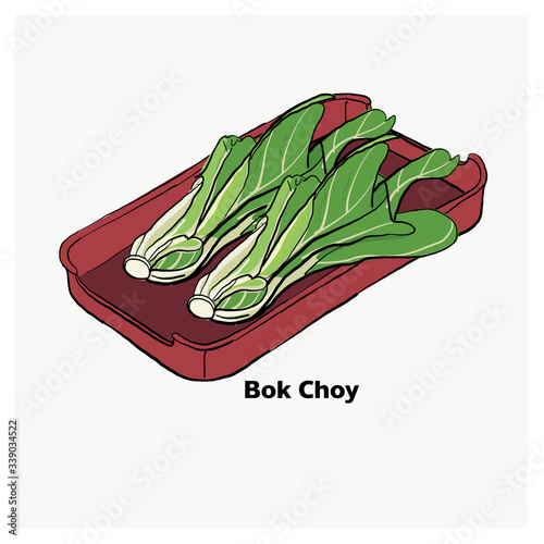 Bok Choy on red plate,vegetable for Japanese grill, korean grill, thai pan bbq grill. Drawing illustration vector.