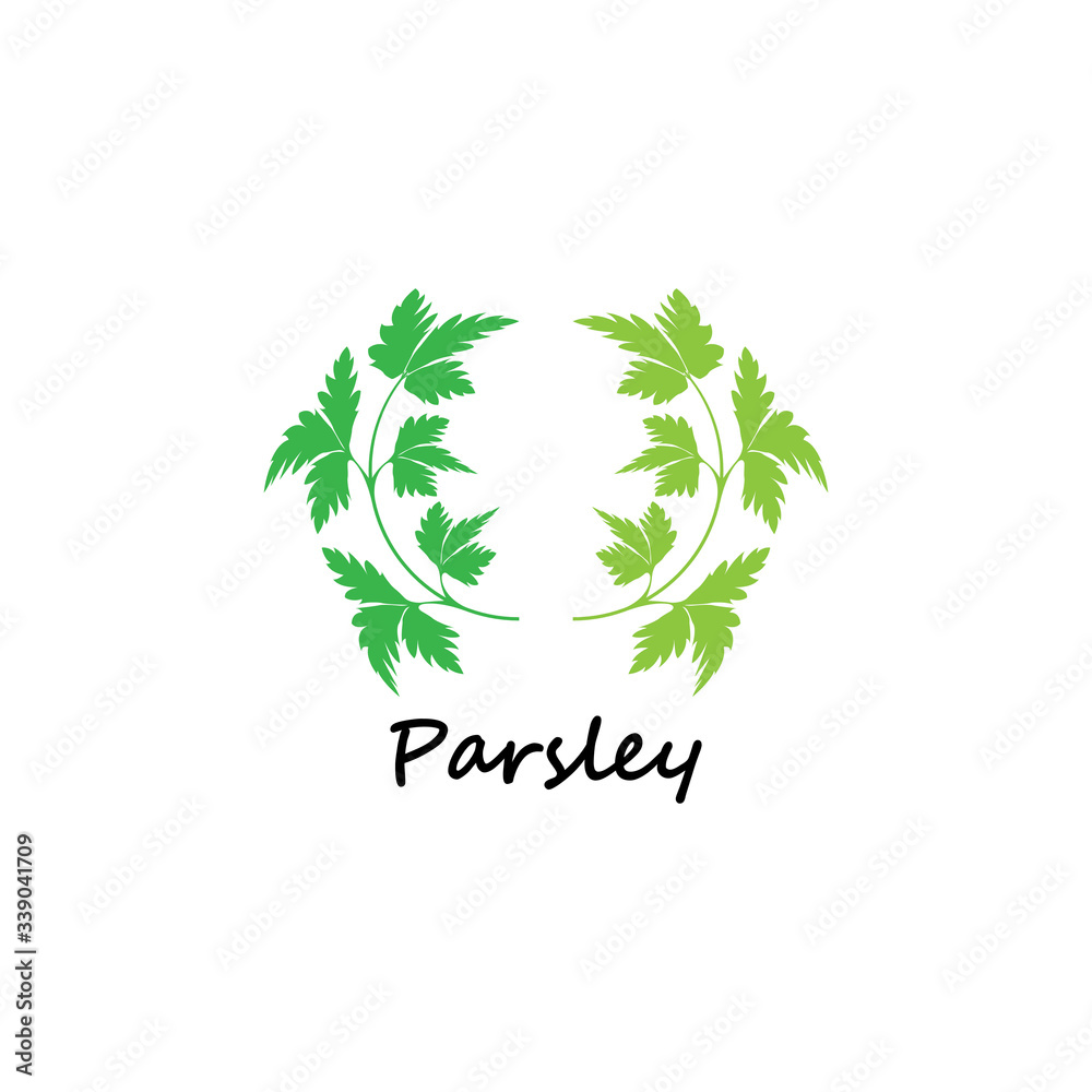 Green parsley twig, shoot, sprig. Icon Isolated on white. Logo for eco company, agriculture, nature firm, ecology, healthy organic and farm fresh food. Vector Illustration. kitchen herbs Green parsley twig, shoot, sprig. Icon Isolated on white. Logo for eco company, agriculture, nature firm, ecology, healthy organic and farm fresh food. Vector Illustration. kitchen herbs