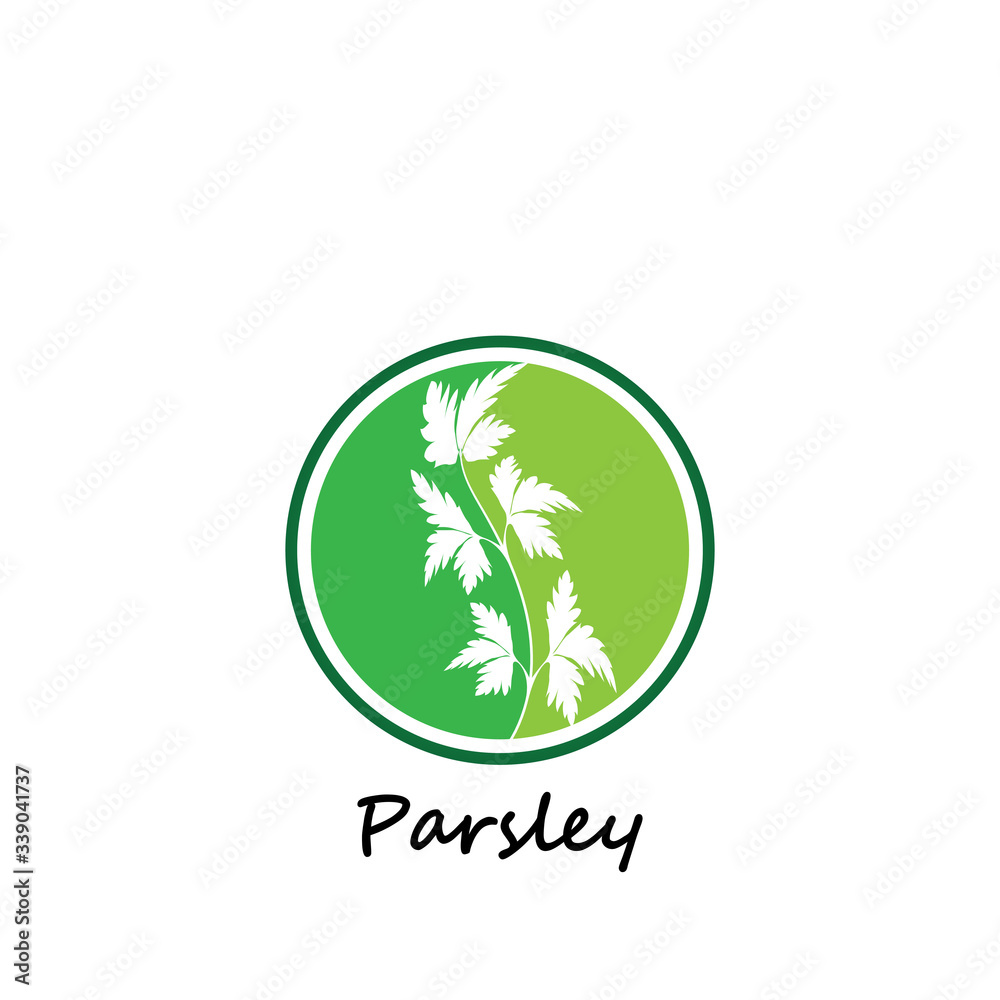 Green parsley twig, shoot, sprig. Icon Isolated on white. Logo for eco company, agriculture, nature firm, ecology, healthy organic and farm fresh food. Vector Illustration. kitchen herbs Green parsley twig, shoot, sprig. Icon Isolated on white. Logo for eco company, agriculture, nature firm, ecology, healthy organic and farm fresh food. Vector Illustration. kitchen herbs